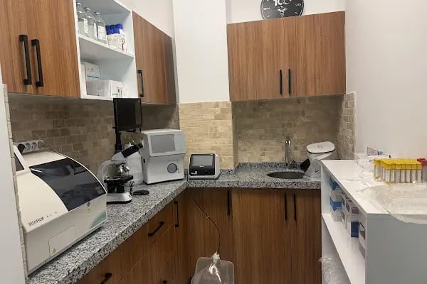 Hanvet Clinic - Gemlik Veteriner Kliniği - Resim 7