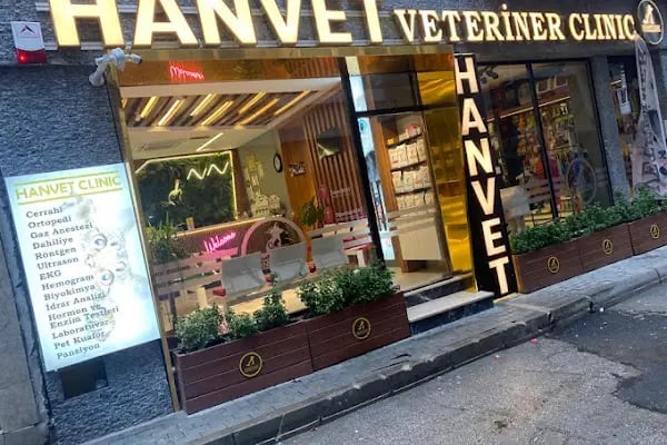 Hanvet Clinic - Gemlik Veteriner Kliniği - Resim 1