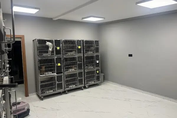 Hanvet Clinic - Gemlik Veteriner Kliniği - Resim 6