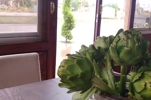 Enginar Restaurant - Resim 15