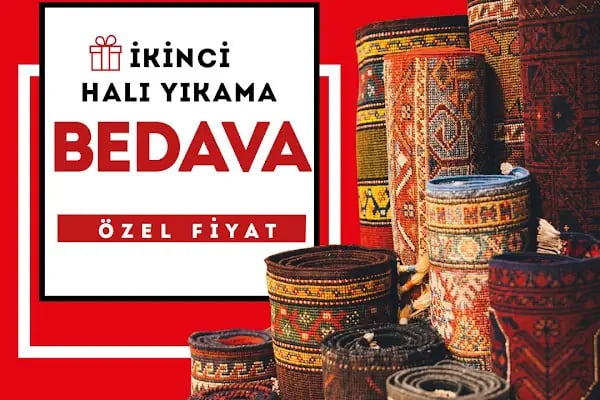 Mete ZENGİN - Resim 20