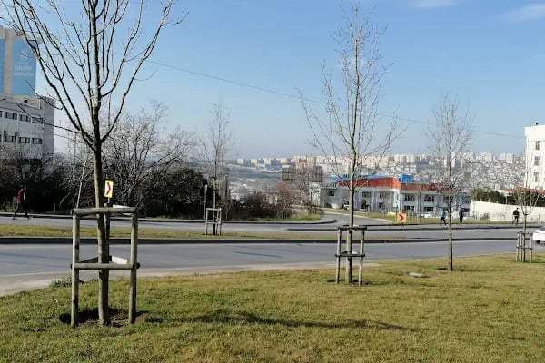 Ambarlı Kavşağı - Resim 3