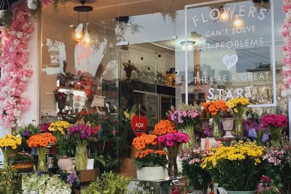 Fenix Flower / Yalikavak Florist / Yalikavak Çiçek - Resim 5