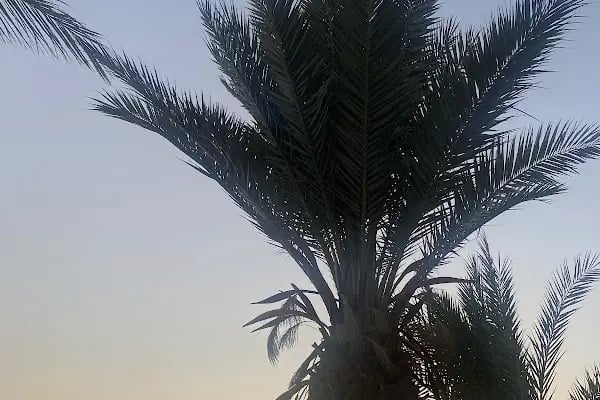 Kestel Sahili - Resim 10