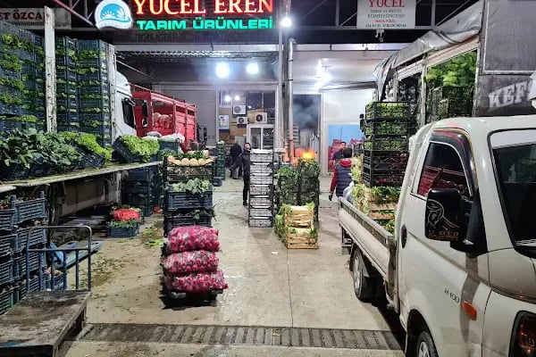Yücel eren tarım - Resim 12