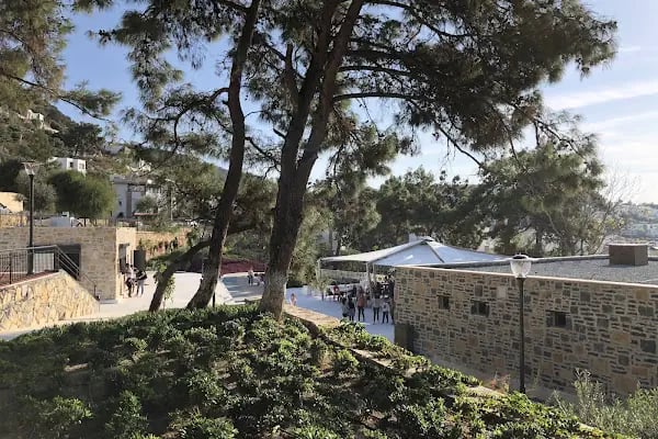 Bodrum Belediyesi Park ve Bahçeler Müdürlüğü - Resim 7