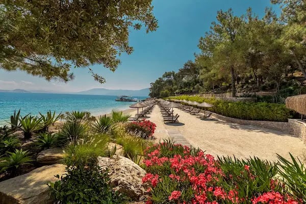 Mesa Bodrum - Resim 5