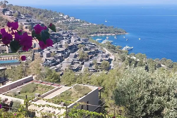 Mesa Bodrum - Resim 3