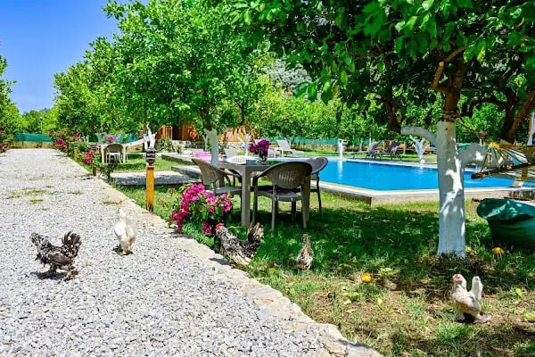 Kaptan Ramo Bungalow - Resim 15