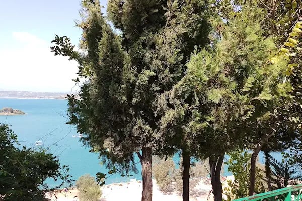 Çobandede Türbesi - Resim 18