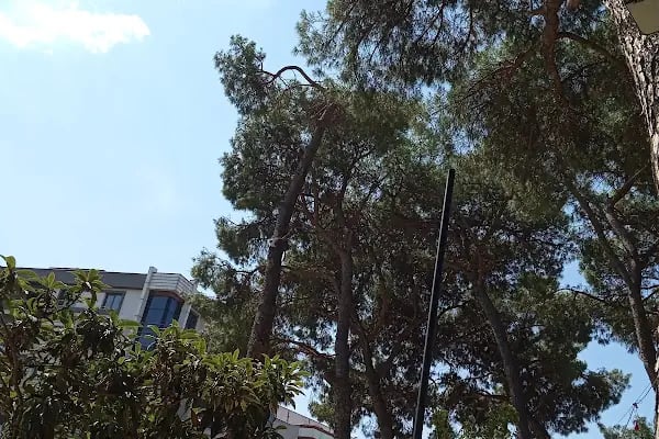 İzmir Bergama Halk Eği̇tmi̇ Merkezi̇ - Resim 3