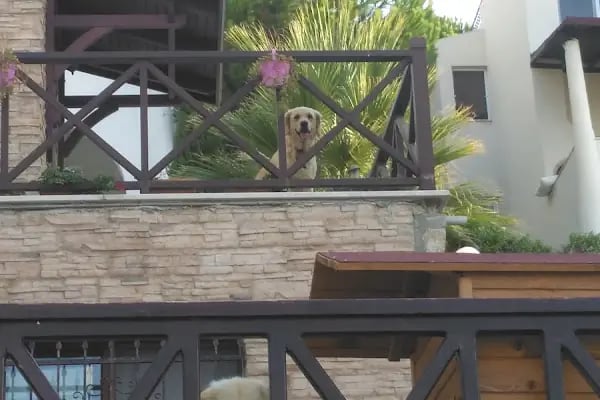 Bodrum Yakası Tatil Sitesi - Resim 10
