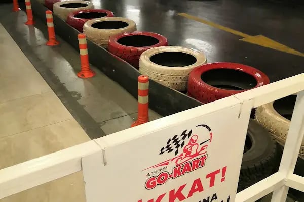 Torium Go-Kart - Resim 12