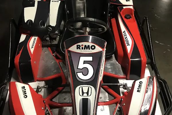 Torium Go-Kart - Resim 15