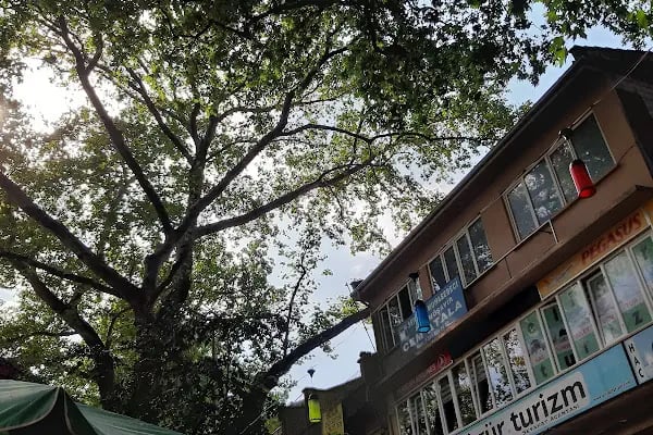 Çınaraltı Kafe - Resim 9