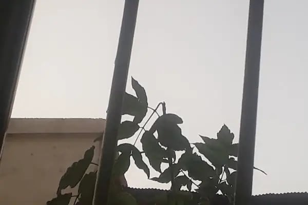 Rapsodi Mobilya Çermik Bayi - Resim 7