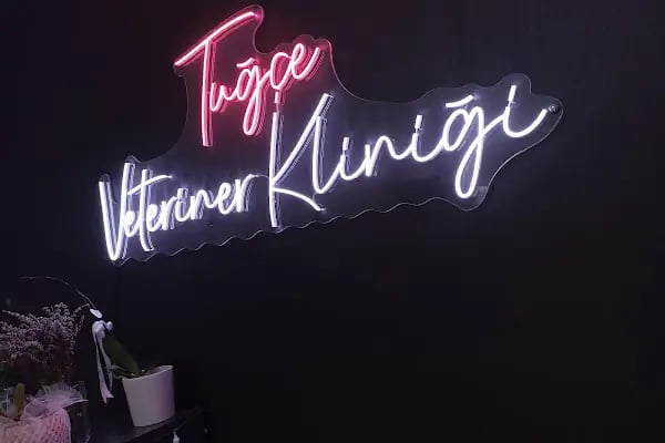 TUĞÇE VETERİNER KLİNİĞİ - Resim 11