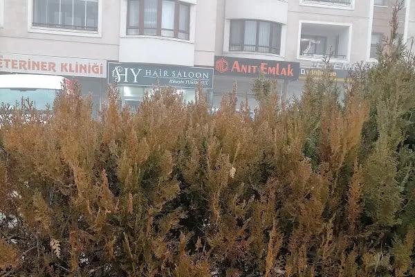 BATIKENT TİTİZ KURU TEMİZLEME - Resim 12