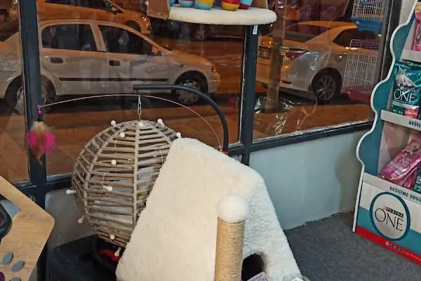 Darling Petshop Denizli - Resim 11