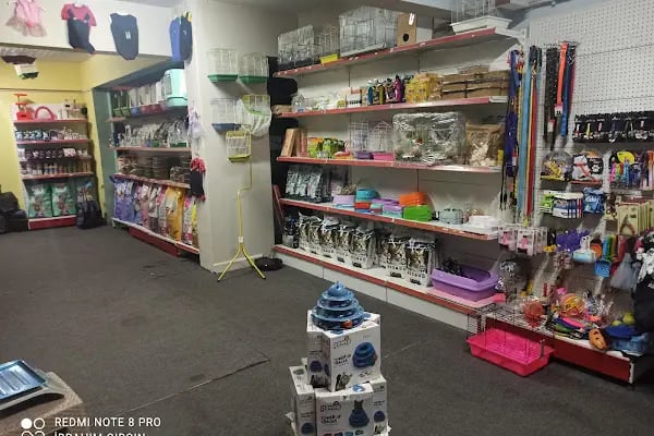 Darling Petshop Denizli - Resim 13