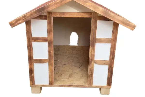 Darling Petshop Denizli - Resim 18