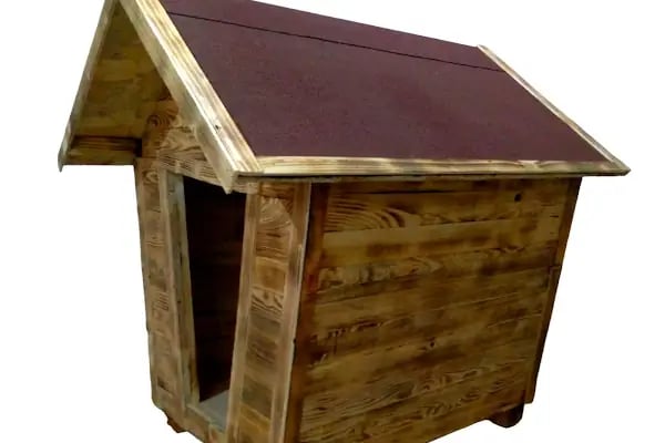Darling Petshop Denizli - Resim 12