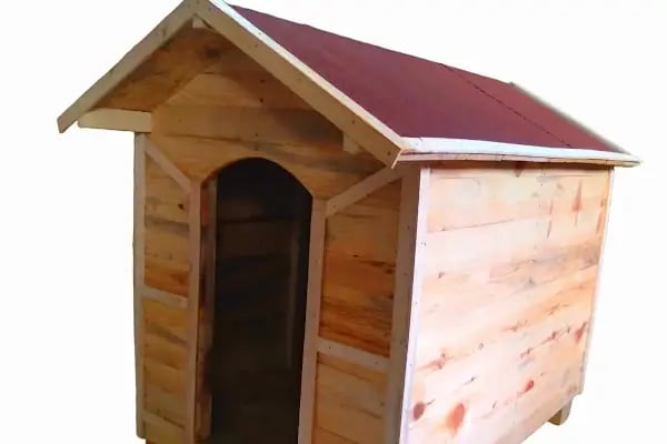 Darling Petshop Denizli - Resim 15