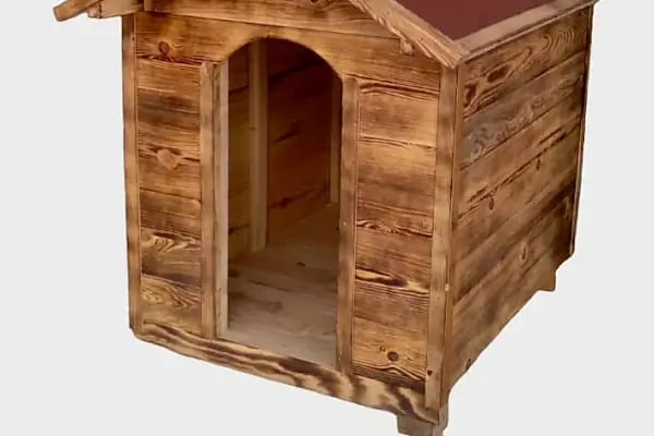 Darling Petshop Denizli - Resim 6