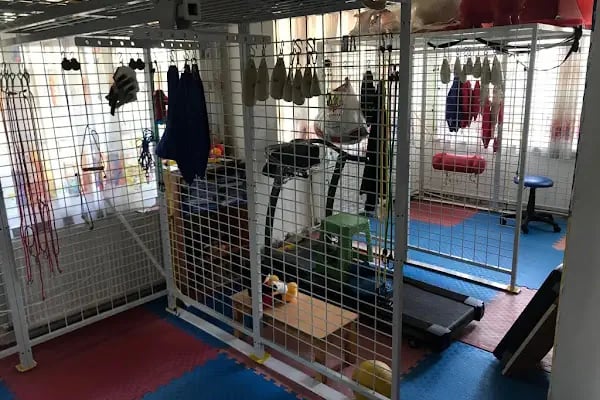 Çamlıca Özel Eğitim Ve Rehabilitasyon Merkezi - Resim 13