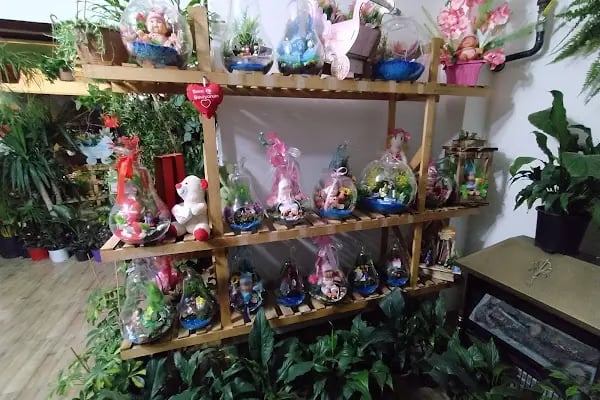Cadde Bostanbaşı çiçekçi amca - Resim 5