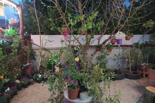 Cadde Bostanbaşı çiçekçi amca - Resim 14