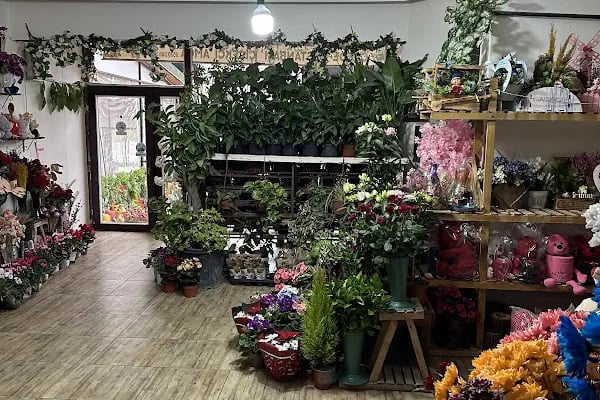 Cadde Bostanbaşı çiçekçi amca - Resim 18