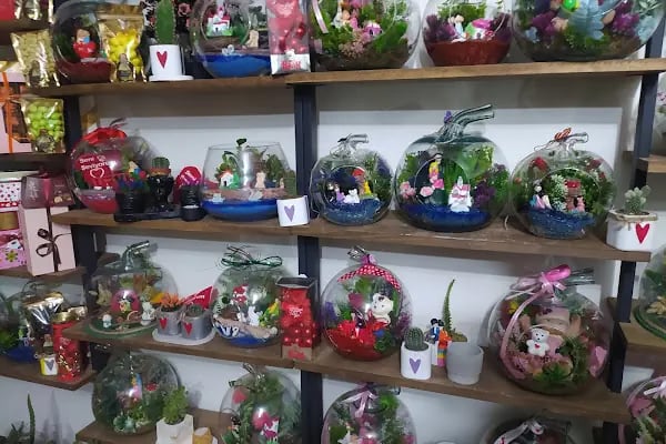 Cadde Bostanbaşı çiçekçi amca - Resim 8