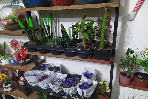 Cadde Bostanbaşı çiçekçi amca - Resim 6