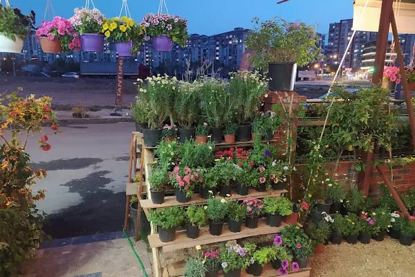 Cadde Bostanbaşı çiçekçi amca - Resim 16