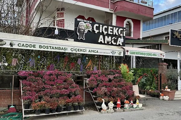 Cadde Bostanbaşı çiçekçi amca - Resim 2