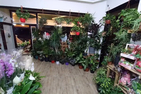 Cadde Bostanbaşı çiçekçi amca - Resim 12