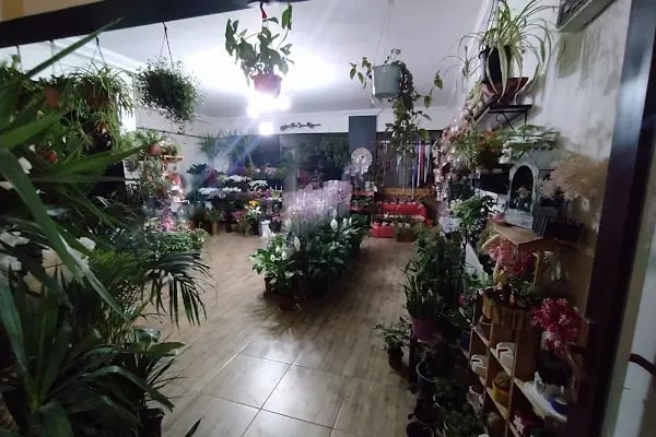Cadde Bostanbaşı çiçekçi amca - Resim 4