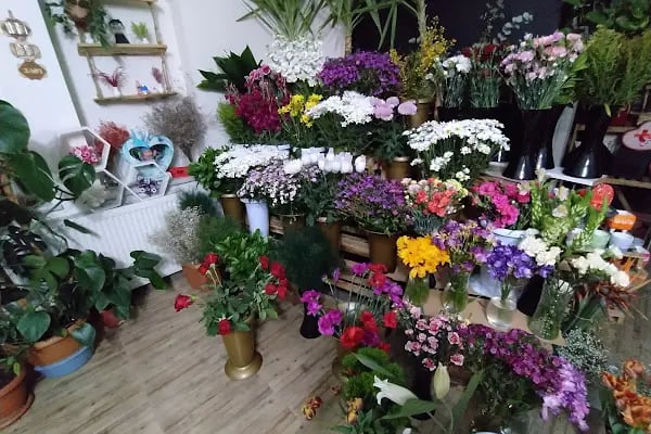 Cadde Bostanbaşı çiçekçi amca - Resim 9
