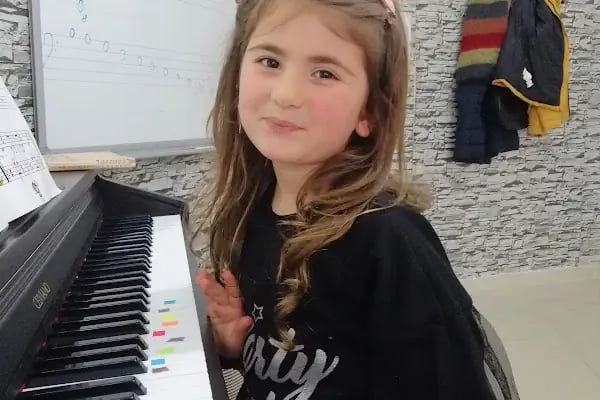 Aliye Fişenk Sanat Akademisi - Resim 3