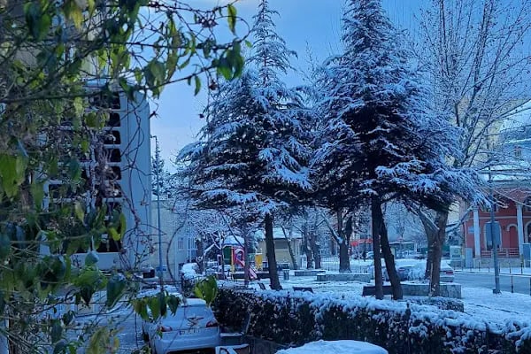 Kayalık Camîî - Resim 18