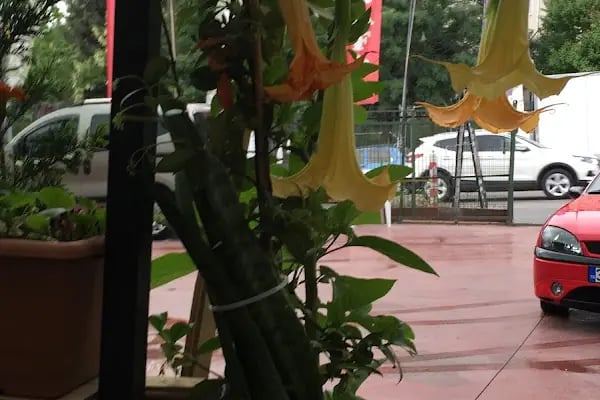 Günel Oto Yıkama oto kuaför - Resim 18