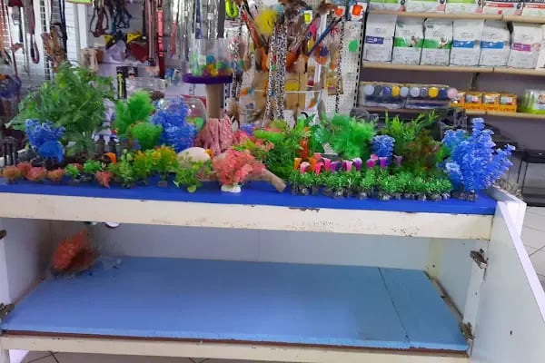 Blue Water Pet Shop - Resim 9