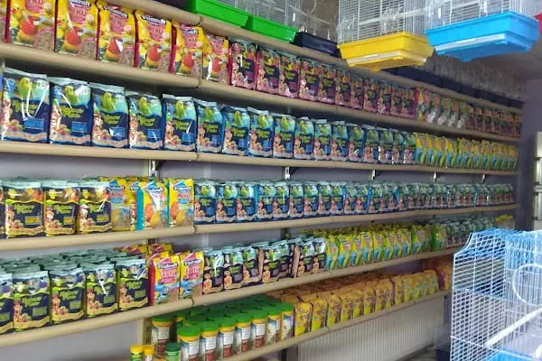 Blue Water Pet Shop - Resim 11