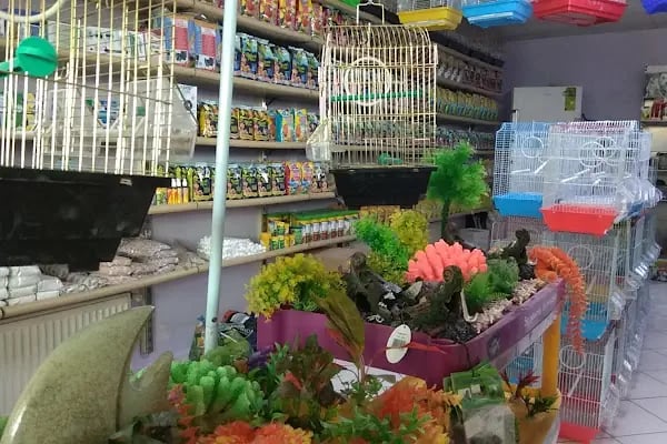 Blue Water Pet Shop - Resim 6