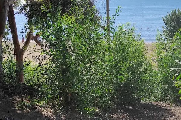 Magarsus ve Babacan Camping - Resim 17