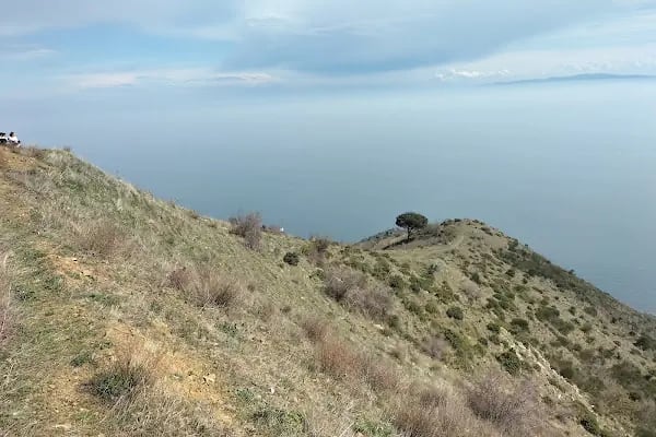 Uçmakdere Yamaç Paraşütü ve Kamp Bölgesi - Resim 11