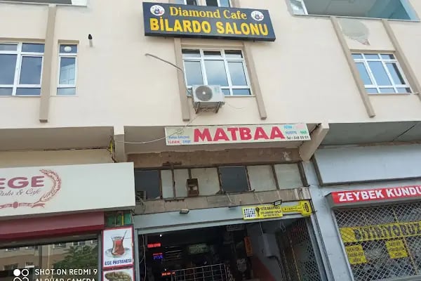 Halkalı Diamond Bilardo - Resim 2
