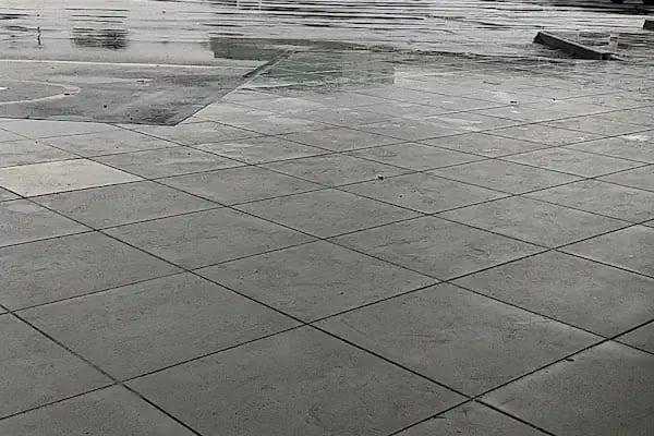 Sakarya Büyükşehir Terminali - Resim 7