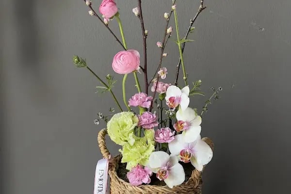 Emotion Alanya Flowers - Resim 6